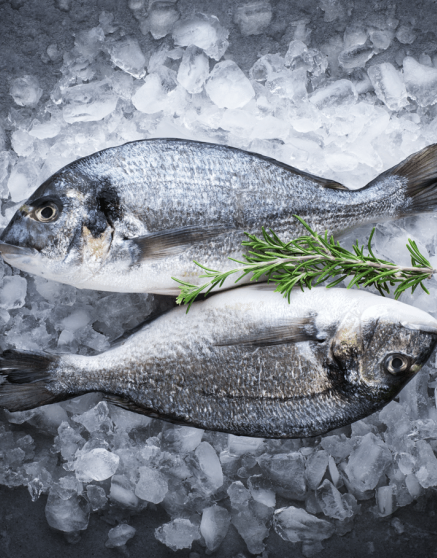Frozen Fish