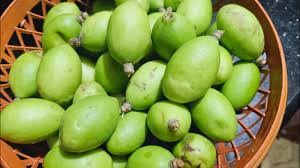 Hog Plum (Ambazhaga)