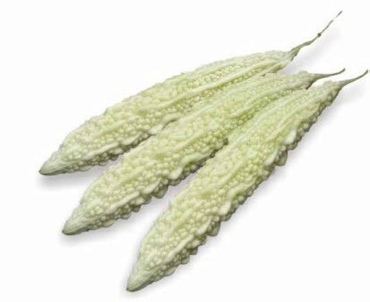 Bitter Gourd White