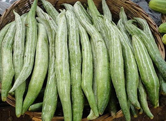 Padavalanga (Snake Gourd) (cut )
