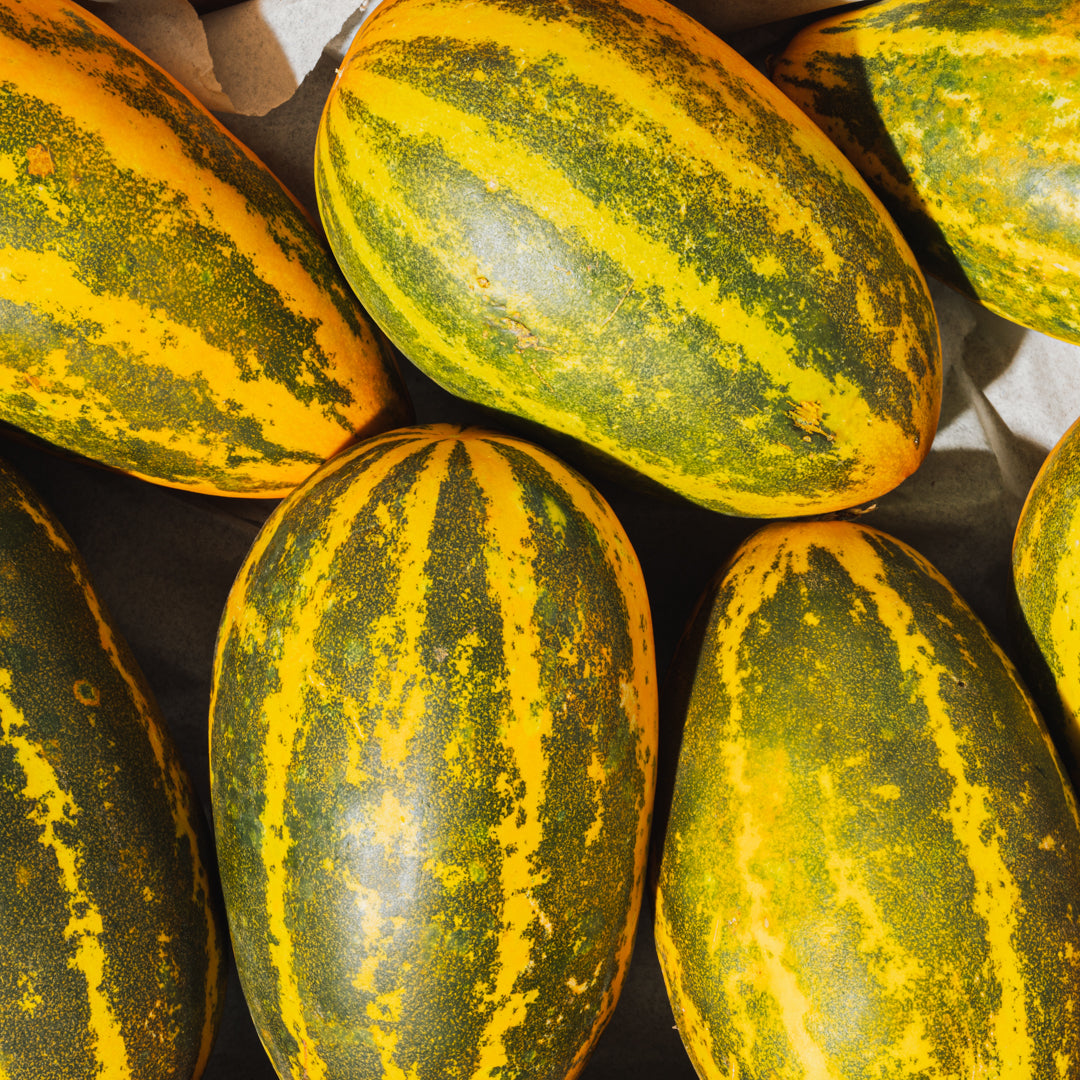 Indian Cucumber
