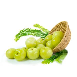 Indische Stachelbeere