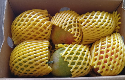 Alphosa Mango
