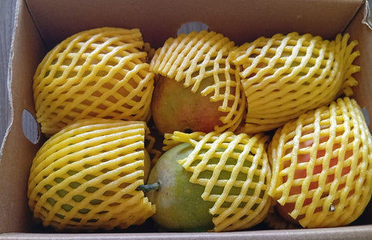 Alphosa Mango