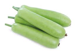Flaschenkürbis