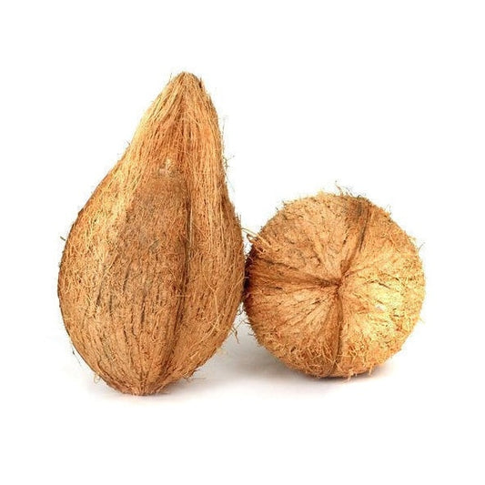 Pooja Coconut with Tail