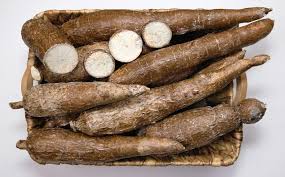 Casava