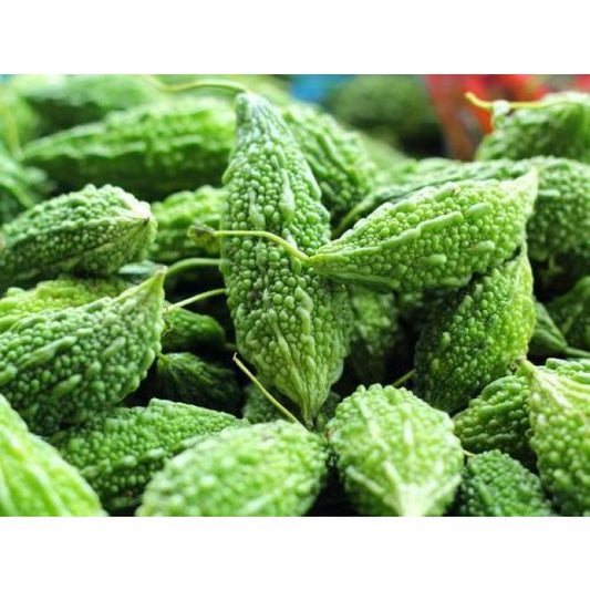 Bitter gourd (Fresh Karela)
